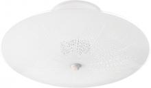 Nuvo SF76/269 - 2 Light 12'' Ceiling Fixture