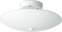 Nuvo SF77/823 - 2 Light 12'' Round Ceiling