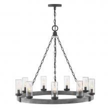 Hinkley Lighting 29208DZ-LL - Large Single Tier