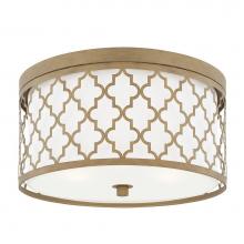 Capital Lighting 4549BG - 3 Lighting Ceiling