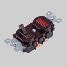 DiversiTech Corporation ED277 - Combination Device Single Pole Toggle Switch with Neon Pilot Lite Switch - 15A-120V AC Pilot Lite
