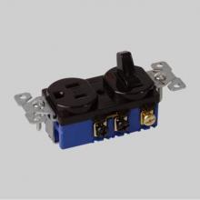 DiversiTech Corporation ED5225 - Toggle switch and receptacle - brown body