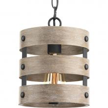 Progress Lighting P500022-143 - Gulliver Collection One-Light Graphite Coastal Pendant Light