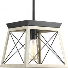 Progress Lighting P500041-143 - Briarwood Collection One-Light Graphite Coastal Mini-Pendant Light