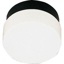 Progress Lighting P5710-31 - Hard-Nox Collection One-Light Wall or Ceiling Mount