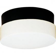 Progress Lighting P5711-31 - Hard-Nox Collection Two-Light Wall or Ceiling Fixture