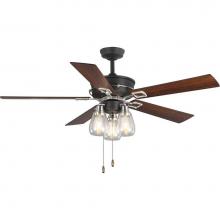 Progress Lighting P250004-143 - Teasley 56apos;apos; Five-Blade Ceiling Fan With Glass Shades