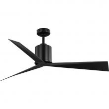 Progress Lighting P250109-31M - Paso Collection 60-in Three-Blade Matte Black with Matte Black Blades Luxe Industrial Ceiling Fan