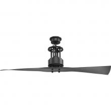 Progress Lighting P2570-143 - Spades Collection 56'' Two Blade Ceiling Fan