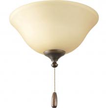 Progress Lighting P2612-20TWB - AirPro Collection Two-Light Ceiling Fan Light