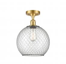 Innovations Lighting 516-1C-SG-G122-10CBK - Large Farmhouse Chicken Wire 1 Light Semi-Flush Mount