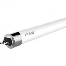 RAB Lighting T5-25-48G-835-BYP - LED TUBE T5 GLASS 4FT TYPE B 25W 3500K 3300LM