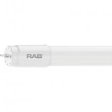 RAB Lighting T8-12-48G-830-DIR - LED TUBE T8 GLASS 4FT TYPE A 12W CRI80 3000K 1650LM