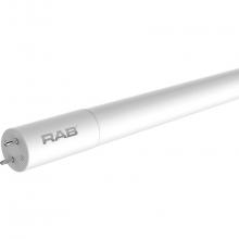 RAB Lighting T8-14-48G-840-SD-BYP - T8 LED GLASS 4FT TYPE B 14W 4000K 1800LM SINGLEDOUBLE