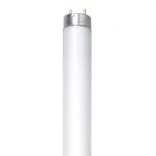 Stanpro (Standard Products Inc.) 69174 - FLUORESCENT LINEAR EUROPEAN T8 36W 4100K RAPID START (RS) MED BIPIN G13 RADIUM