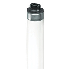 Stanpro (Standard Products Inc.) 56534 - FLUORESCENT SAFETY MAX LINEAR HIGH OUTPUT (HO) FULL SPECTRUM T8 86W 4100K