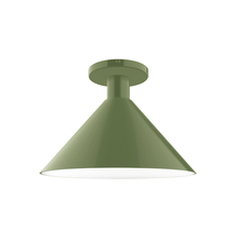 Montclair Light Works FMDX466-22 - 12" Chase Flush Mount, Fern Green