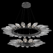 Hammerton CHB0050-2T-MB-CS-CA1-L3 - Rock Crystal Radial Ring Two Tier - 42/56-Matte Black