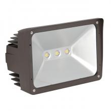 Sunset F7395-66-1-5K - FLOOD LIGHT