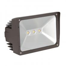 Sunset F7395-66-5K - 50W LED FLOOD LIGHT W/THREADED KNUCKLE W/CLR GLS LNS BZ