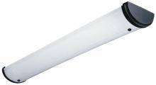 Light Concepts (Lithonia) 11741RE BZ - Two Light Bronze Fluorescent Light