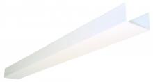 Light Concepts (Lithonia) DWC48 A12 - Acrylic Diffuser