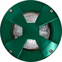 Dabmar LV307-LED4-G-SLV - WELL LIGHT W/DRIVEOVER CVR W/ SLV 4W LED PAR36 12V