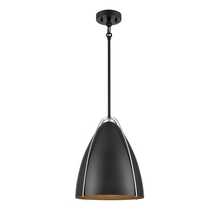 DVI DVP47310EB+SN - Saguenay Pendant