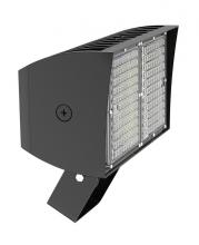 RAB Lighting PIPXL70TYW/D10/PFS - PIP XL FLOODLIGHT 70W WARM