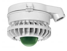 RAB Lighting HAZXLED26FG - HAZLED 26W COOL LED CEILING GREEN FROSTED GLOBE GRAY