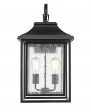 Trans Globe 51692 BK - Bosque 2 - Light Outdoor Wall Lantern