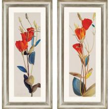 Paragon Art 1140 - Grandiflorum Pk/2