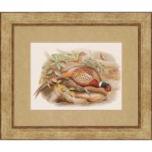 Paragon Art 1160 - Gould Pheasants I