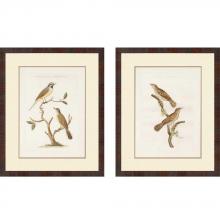 Paragon Art 1822 - Nozeman Birds II Pk/2