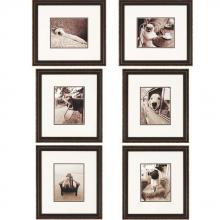 Paragon Art 3845 - Sepia Dogs Pk/6