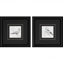 Paragon Art 4336 - Song Birds Pk/2