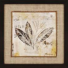 Paragon Art 4724 - Botanical Sketchbook I