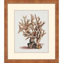 Paragon Art 4746 - Antique Coral II