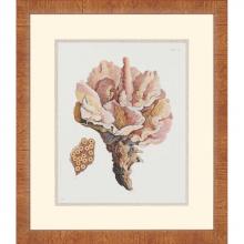 Paragon Art 4747 - Antique Coral III