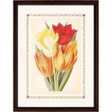 Paragon Art 4754 - Tulip Array II