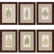 Paragon Art 4766 - Ferns Pk/6