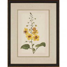 Paragon Art 4795 - Floral Varieties I