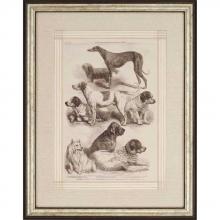 Paragon Art 4800 - International Dog Show I