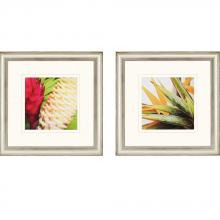 Paragon Art 4902 - Happy Plants II Pk/2