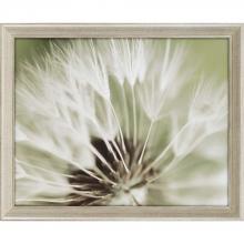 Paragon Art 6820 - Dandelion I