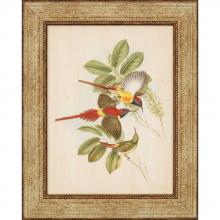 Paragon Art 7042 - Gould Birds III