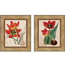 Paragon Art 7060 - Tulips Pk/2