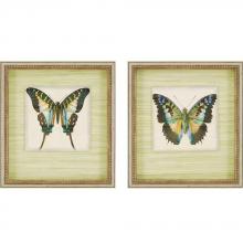 Paragon Art 7079 - Butterfly II Pk/2