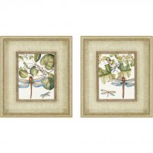 Paragon Art 7402 - Dragonfly Medley Pk/2