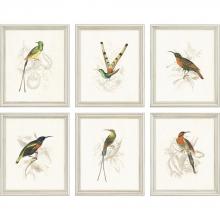 Paragon Art 7564 - Hummingbirds Pk/6